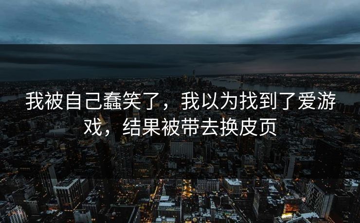我被自己蠢笑了，我以为找到了爱游戏，结果被带去换皮页