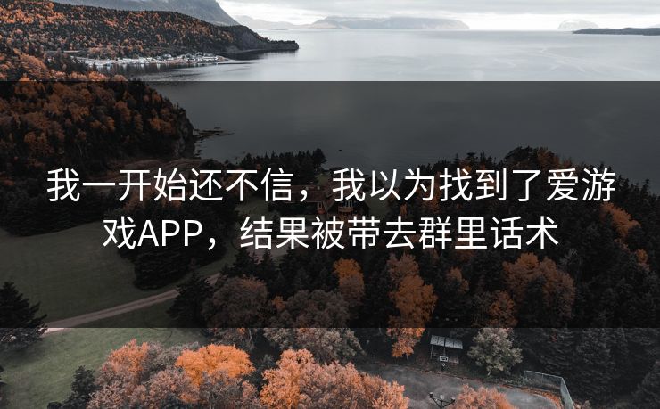 我一开始还不信，我以为找到了爱游戏APP，结果被带去群里话术