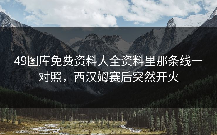 49图库免费资料大全资料里那条线一对照，西汉姆赛后突然开火