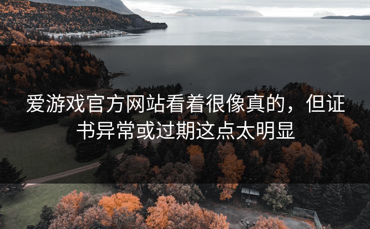 爱游戏官方网站看着很像真的，但证书异常或过期这点太明显